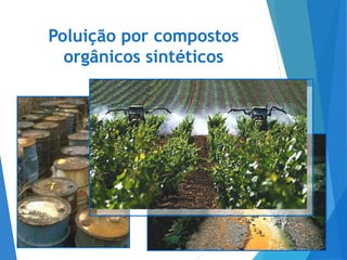 Poluição por compostos
orgânicos sintéticos
21
 
