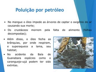 Poluição por petróleo
27
• No mangue o óleo impede as árvores de captar o oxigênio do ar
causando sua morte;
• Os crustáceos morrem pela falta de alimento (folhas
decompostas);
• Além disso, o óleo fecha as
brânquias, por onde respiram,
e superaquece a lama, seu
habitat;
• No acidente da Baía de
Guanabara espécies como o
caranguejo-uçá podem ter sido
extintas.
 