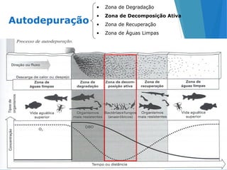 36
Autodepuração
• Zona de Degradação
• Zona de Decomposição Ativa
• Zona de Recuperação
• Zona de Águas Limpas
 