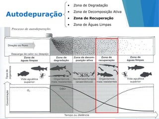 38
Autodepuração
• Zona de Degradação
• Zona de Decomposição Ativa
• Zona de Recuperação
• Zona de Águas Limpas
 