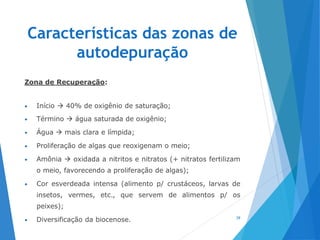 Características das zonas de
autodepuração
Zona de Recuperação:
• Início  40% de oxigênio de saturação;
• Término  água saturada de oxigênio;
• Água  mais clara e límpida;
• Proliferação de algas que reoxigenam o meio;
• Amônia  oxidada a nitritos e nitratos (+ nitratos fertilizam
o meio, favorecendo a proliferação de algas);
• Cor esverdeada intensa (alimento p/ crustáceos, larvas de
insetos, vermes, etc., que servem de alimentos p/ os
peixes);
• Diversificação da biocenose. 39
 