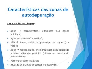 Características das zonas de
autodepuração
Zona de Águas Limpas:
• Água  características diferentes das águas
poluídas;
• Água encontra-se “eutrófica”;
• Não é limpa, devido a presença das algas (cor
verde);
• Água  recuperou-se, melhorou suas capacidade de
produzir alimento proteico (piorou no quesito de
potabilidade);
• Péssimo aspecto estético;
• Invasão de plantas aquáticas indesejáveis.
41
 