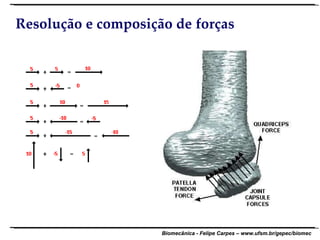 Resolução e composição de forças 
