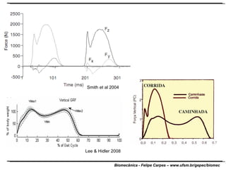 Lee & Hidler 2008 Smith et al 2004 