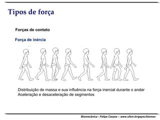 Tipos de força Forças de contato Força de inércia Distribuição de massa e sua influência na força inercial durante o andar Aceleração e desaceleração de segmentos 