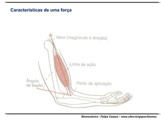 Características de uma força 