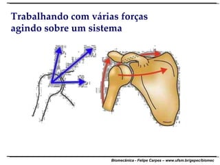 Trabalhando com várias forças agindo sobre um sistema 