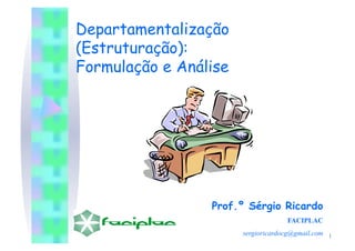 Departamentalização
(Estruturação):
Formulação e Análise




                 Prof.º Sérgio Ricardo
                                    FACIPLAC
                       sergioricardocg@gmail.com 1
 