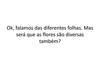 Ok, falamos das diferentes folhas. Mas será que as flores são diversas também?  