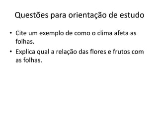 Questões para orientação de estudo 
•Cite um exemplo de como o clima afeta as folhas. 
•Explica qual a relação das flores e frutos com as folhas. 
