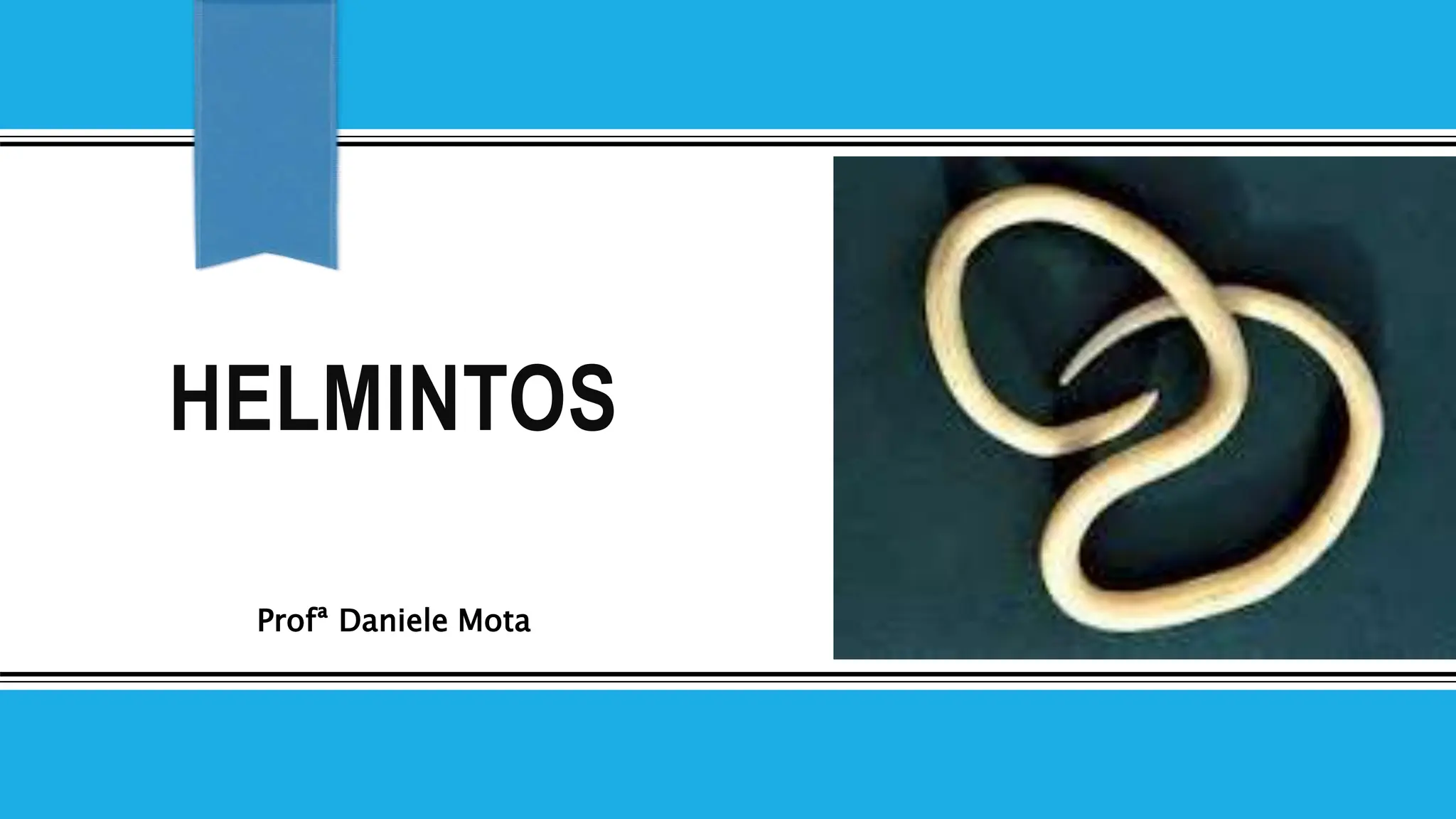Helmintos Parasitologia Mecanismos de agressão.pptx