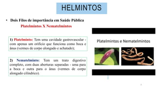 Helmintos Parasitologia Mecanismos de agressão.pptx