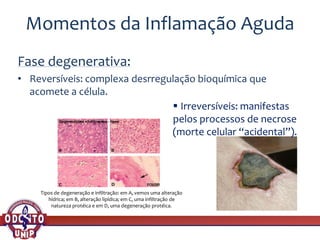 Momentos da Inflamação Aguda
Fase degenerativa:
• Reversíveis: complexa desrregulação bioquímica que
acomete a célula.
Tipos de degeneração e infiltração: em A, vemos uma alteração
hídrica; em B, alteração lipídica; em C, uma infiltração de
natureza protéica e em D, uma degeneração protéica.
▪ Irreversíveis: manifestas
pelos processos de necrose
(morte celular “acidental”).
 