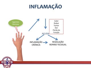 INFLAMAÇÃO
AGUDA
INFLAMAÇÃO
CRÔNICA
RESOLUÇÃO
REPARO TECIDUAL
Agentes
Nocivos
Calor
Rubor
Tumor
Dor
Perda de
Função
 