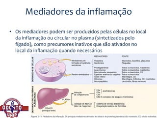 Mediadores da inflamação
• Os mediadores podem ser produzidos pelas células no local
da inflamação ou circular no plasma (sintetizados pelo
fígado), como precursores inativos que são ativados no
local da inflamação quando necessários
 