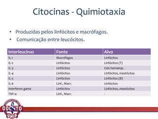 Citocinas - Quimiotaxia
• Produzidas pelos linfócitos e macrófagos.
• Comunicação entre leucócitos.
Interleucinas Fonte Alvo
IL-1 Macrófagos Linfócitos
IL-2 Linfócitos Linfócitos (T)
IL-3 Linfócitos Cels hematop.
IL-4 Linfócitos Linfócitos, mastócitos
IL-5 Linfócitos Linfócitos (B)
IL-6 Linf., Macr. Linfócitos
Interferon gama Linfócitos Linfócitos, mastócitos
TNF-α Linf., Macr. -
 