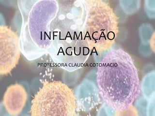 INFLAMAÇÃO
AGUDA
PROFESSORA CLAUDIA COTOMACIO
 
