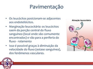Pavimentação
• Os leucócitos posicionam-se adjacentes
aos endoteliócitos.
• Marginação leucocitária: os leucócitos
saem da porção central do fluxo
sanguíneo (local onde são comumente
encontrados) e vão para a periferia do
fluxo - rolamento
• Isso é possível graças à diminuição da
velocidade do fluxo (estase sanguínea),
dos fenômenos vasculares.
 