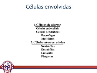 1.Células de alarme
Células endoteliais
Células dendriticas
Macrófagos
Mastócitos
2. Células néo-recrutadas
Neutrófilos
Eosinófilos
Linfócitos
Plaquetas
Células envolvidas
 