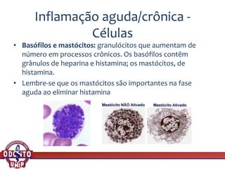 Inflamação aguda/crônica -
Células
• Basófilos e mastócitos: granulócitos que aumentam de
número em processos crônicos. Os basófilos contêm
grânulos de heparina e histamina; os mastócitos, de
histamina.
• Lembre-se que os mastócitos são importantes na fase
aguda ao eliminar histamina
 