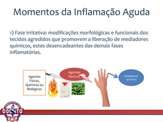 Momentos da Inflamação Aguda
1) Fase irritativa: modificações morfológicas e funcionais dos
tecidos agredidos que promovem a liberação de mediadores
químicos, estes desencadeantes das demais fases
inflamatórias.
Agentes
Nocivos Mediadores
químicos
Agentes
Físicos,
Químicos ou
Biológicos
 