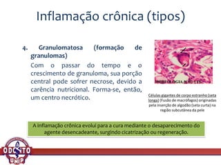 Inflamação crônica (tipos)
4. Granulomatosa (formação de
granulomas)
Com o passar do tempo e o
crescimento de granuloma, sua porção
central pode sofrer necrose, devido a
carência nutricional. Forma-se, então,
um centro necrótico. Células gigantes de corpo estranho (seta
longa) (Fusão de macrófagos) originadas
pela inserção de algodão (seta curta) na
região subcutânea da pele
A inflamação crônica evolui para a cura mediante o desaparecimento do
agente desencadeante, surgindo cicatrização ou regeneração.
 