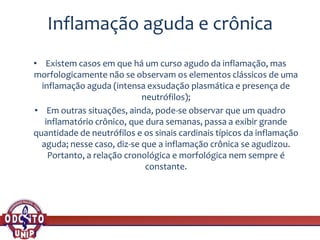 Inflamação aguda e crônica
• Existem casos em que há um curso agudo da inflamação, mas
morfologicamente não se observam os elementos clássicos de uma
inflamação aguda (intensa exsudação plasmática e presença de
neutrófilos);
• Em outras situações, ainda, pode-se observar que um quadro
inflamatório crônico, que dura semanas, passa a exibir grande
quantidade de neutrófilos e os sinais cardinais típicos da inflamação
aguda; nesse caso, diz-se que a inflamação crônica se agudizou.
Portanto, a relação cronológica e morfológica nem sempre é
constante.
 