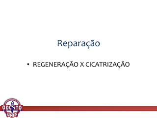 Reparação
• REGENERAÇÃO X CICATRIZAÇÃO
 