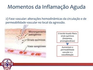Momentos da Inflamação Aguda
2) Fase vascular: alterações hemodinâmicas da circulação e de
permeabilidade vascular no local da agressão.
O tecido lesado libera
sinais químicos
(histamina,
prostaglandinas)
Aumentam a
permeabilidade
vascular e a
vasodilatação
 