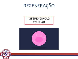 REGENERAÇÃO
DIFERENCIAÇÃO
CELULAR
 