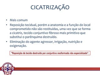 CICATRIZAÇÃO
• Mais comum
• Reposição tecidual, porém a anatomia e a função do local
comprometido não são restituídas, uma vez que se forma
a cicatriz, tecido conjuntivo fibroso mais primitivo que
substitui o parênquima destruído.
• Eliminação do agente agressor, irrigação, nutrição e
oxigenação.
"Reposição de tecido destruído por conjuntivo neoformado não especializado".
 