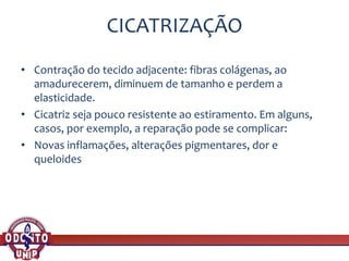 CICATRIZAÇÃO
• Contração do tecido adjacente: fibras colágenas, ao
amadurecerem, diminuem de tamanho e perdem a
elasticidade.
• Cicatriz seja pouco resistente ao estiramento. Em alguns,
casos, por exemplo, a reparação pode se complicar:
• Novas inflamações, alterações pigmentares, dor e
queloides
 