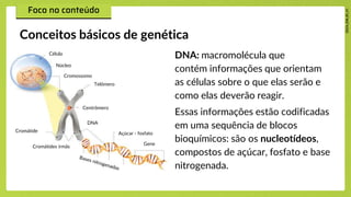 DNA: macromolécula que
contém informações que orientam
as células sobre o que elas serão e
como elas deverão reagir.
Essas informações estão codificadas
em uma sequência de blocos
bioquímicos: são os nucleotídeos,
compostos de açúcar, fosfato e base
nitrogenada.
Conceitos básicos de genética
Célula
Núcleo
Cromossomo
Telômero
Cromátide
Centrômero
DNA
Açúcar - fosfato
Gene
Cromátides irmãs
 
