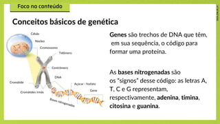 Genes são trechos de DNA que têm,
em sua sequência, o código para
formar uma proteína.​
As bases nitrogenadas são
os “signos” desse código: as letras A,
T, C e G representam,
respectivamente, adenina, timina,
citosina e guanina.
Conceitos básicos de genética
Célula
Núcleo
Cromossomo
Telômero
Cromátide
Centrômero
DNA
Açúcar - fosfato
Gene
Cromátides irmãs
 