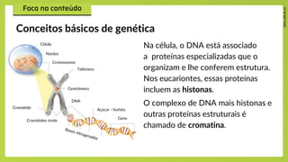 Na célula, o DNA está associado
a proteínas especializadas que o
organizam e lhe conferem estrutura.
Nos eucariontes, essas proteínas
incluem as histonas.
O complexo de DNA mais histonas e
outras proteínas estruturais é
chamado de cromatina.
Conceitos básicos de genética
Célula
Núcleo
Cromossomo
Telômero
Cromátide
Centrômero
DNA
Açúcar - fosfato
Gene
Cromátides irmãs
 