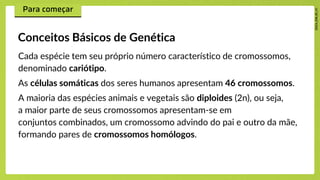 Cada espécie tem seu próprio número característico de cromossomos,
denominado cariótipo.
As células somáticas dos seres humanos apresentam 46 cromossomos.
A maioria das espécies animais e vegetais são diploides (2n), ou seja,
a maior parte de seus cromossomos apresentam-se em
conjuntos combinados, um cromossomo advindo do pai e outro da mãe,
formando pares de cromossomos homólogos.
Conceitos Básicos de Genética
 