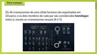 Os 46 cromossomos de uma célula humana são organizados em
23 pares, e os dois membros de cada par são considerados homólogos
entre si, exceto os cromossomos sexuais (X e Y).
 