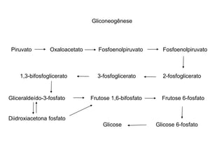 Gliconeogênese 
Piruvato Oxaloacetato Fosfoenolpiruvato Fosfoenolpiruvato 
1,3-bifosfoglicerato 3-fosfoglicerato 2-fosfoglicerato 
Gliceraldeído-3-fosfato 
Diidroxiacetona fosfato 
Frutose 1,6-bifosfato Frutose 6-fosfato 
Glicose Glicose 6-fosfato 
 