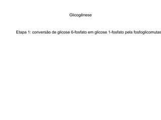 Glicogênese 
Etapa 1: conversão de glicose 6-fosfato em glicose 1-fosfato pela fosfoglicomutase 
 