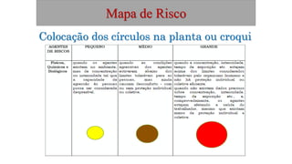 Mapa de Risco
Colocação dos círculos na planta ou croqui
 