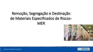 Mer Material Aula 6- Material especitficado de risco. MER.pptx