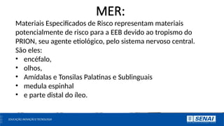 Mer Material Aula 6- Material especitficado de risco. MER.pptx