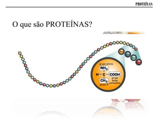 PROTEÍNAS
O que são PROTEÍNAS?
 