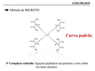 ANÁLISE POR GRUPO
 Complexo colorido: ligações peptídicas da proteína e íons cobre
em meio alcalino.
Curva padrão
Método de BIURETO
 