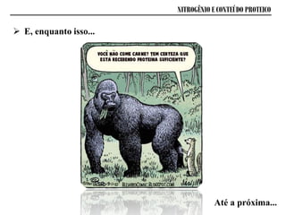  E, enquanto isso...
Até a próxima...
NITROGÊNIO E CONTEÚDO PROTEICO
 