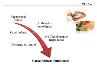 PROTEÍNAS
Regeneração
tecidual
(+) Reações
Imunológicas
Catalisadoras
(+) Crescimento e
Reprodução
Elemento estrutural
Características Nutricionais
 
