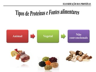 CLASSIFICAÇÃO DAS PROTEÍNAS
Animal Vegetal
Não
convencionais
 