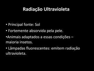 Radiação Ultravioleta Principal fonte: Sol Fortemente absorvida pela pele. Animais adaptados a essas condições – maioria insetos. Lâmpadas fluorescentes: emitem radiação ultravioleta. 