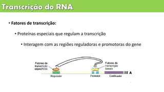 • Fatores de transcrição:
• Proteínas especiais que regulam a transcrição
• Interagem com as regiões reguladoras e promotoras do gene
 