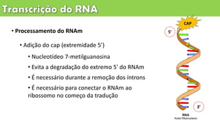 • Processamento do RNAm
• Adição do cap (extremidade 5’)
• Nucleotídeo 7-metilguanosina
• Evita a degradação do extremo 5' do RNAm
• É necessário durante a remoção dos íntrons
• É necessário para conectar o RNAm ao
ribossomo no começo da tradução
5’
3’
CAP
 